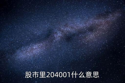 204001是什么股票，204001是什么股票