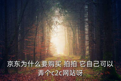 京東為什么要購買 拍拍 它自己可以弄個(gè)c2c網(wǎng)站呀