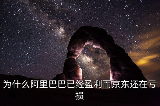 為什么京東是虧損的，請(qǐng)問一下京東網(wǎng)上商城十年間老是虧損的原因