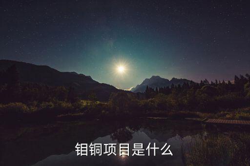 鉬銅項(xiàng)目是什么