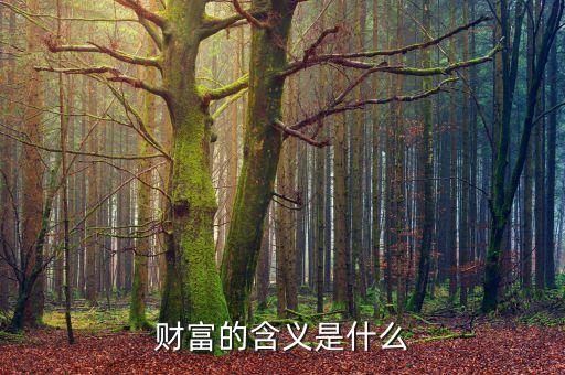 挖掘財(cái)富什么意思，什么財(cái)富填詞語