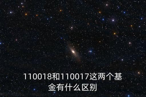 澳銀資本與神州基金有什么關(guān)系，110018和110017這兩個(gè)基金有什么區(qū)別