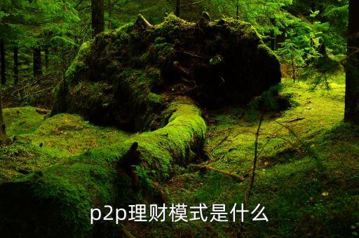 p2p理財模式是什么，p2p理財模式是什么