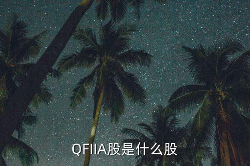 QFIIA股是什么股