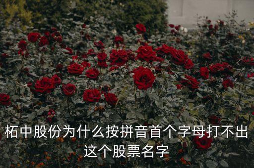 柘中股份為什么按拼音首個(gè)字母打不出這個(gè)股票名字