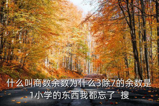 什么叫商數(shù)余數(shù)為什么3除7的余數(shù)是1小學(xué)的東西我都忘了  搜