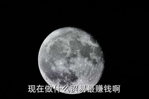 做什么貿(mào)易賺錢，現(xiàn)在做什么貿(mào)易比較能賺錢