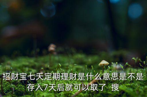 招財(cái)寶七天定期理財(cái)是什么意思是不是存入7天后就可以取了  搜