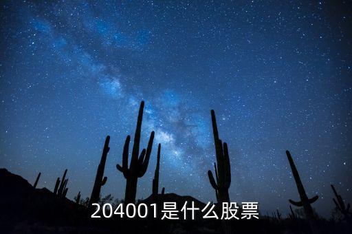 204001是什么股票