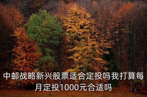 中郵戰(zhàn)略新興股票適合定投嗎我打算每月定投1000元合適嗎