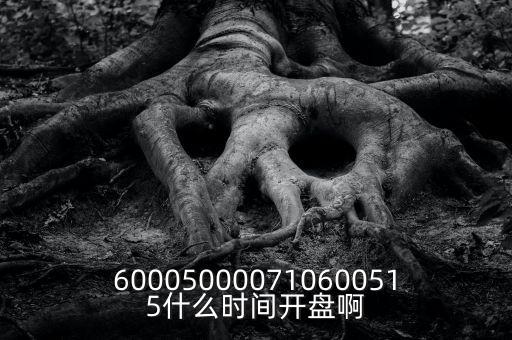 600050000710600515什么時間開盤啊