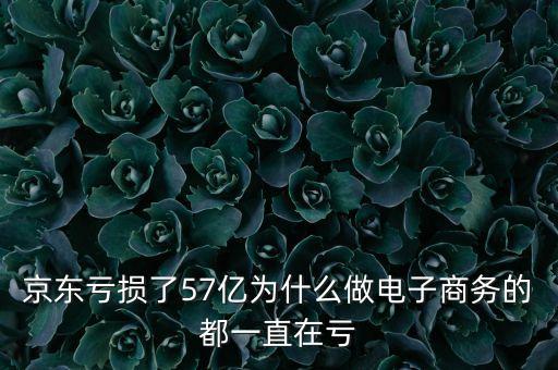 京東虧損了57億為什么做電子商務(wù)的都一直在虧