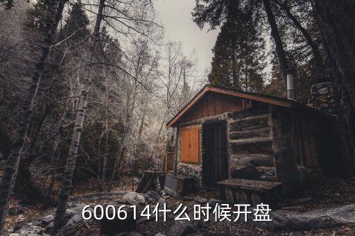 600614什么時候開盤