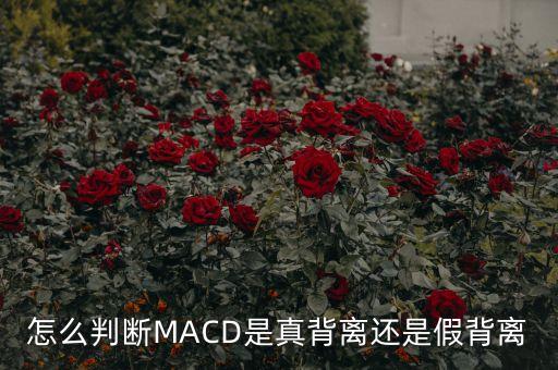 怎么判斷MACD是真背離還是假背離