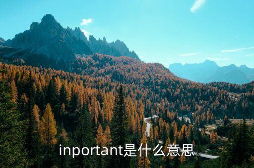 inportant是什么意思