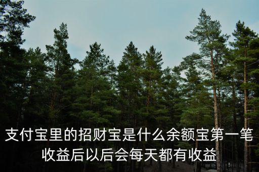 支付寶里的招財寶是什么余額寶第一筆收益后以后會每天都有收益