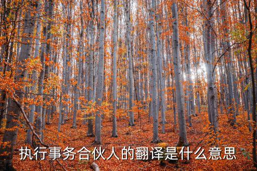 執(zhí)行事務(wù)合伙人的翻譯是什么意思