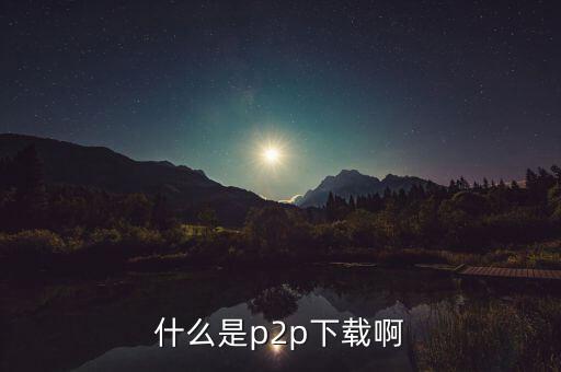 什么是p2p下載啊