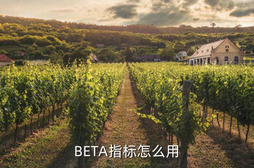 BETA指標(biāo)怎么用