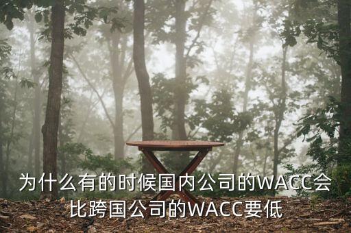 為什么有的時(shí)候國內(nèi)公司的WACC會(huì)比跨國公司的WACC要低