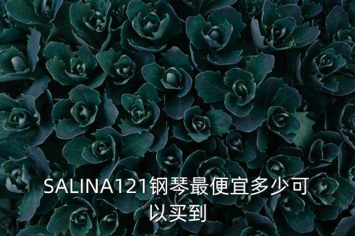 海倫鋼琴什么價(jià)格便宜，SALINA121鋼琴最便宜多少可以買(mǎi)到