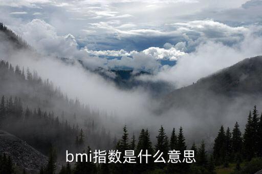 bmi指數是什么意思