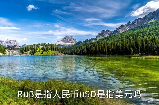 RuB是指人民幣uSD是指美元嗎