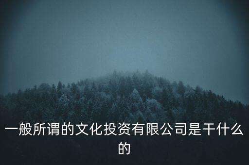 一般所謂的文化投資有限公司是干什么的