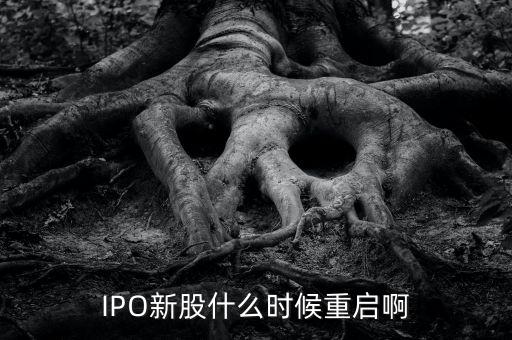 IPO新股什么時候重啟啊