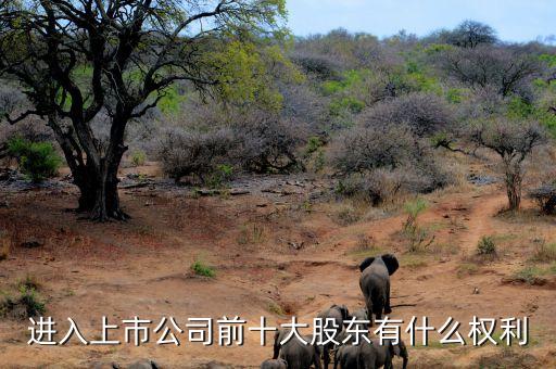 成為十大股東有什么，進入上市公司前十大股東有什么權(quán)利