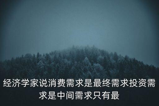 經(jīng)濟(jì)學(xué)家說消費(fèi)需求是最終需求投資需求是中間需求只有最