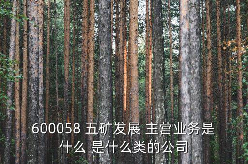 600058 五礦發(fā)展 主營(yíng)業(yè)務(wù)是什么 是什么類的公司