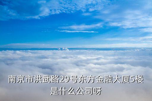 南京市洪武路29號東方金融大廈5樓是什么公司呀