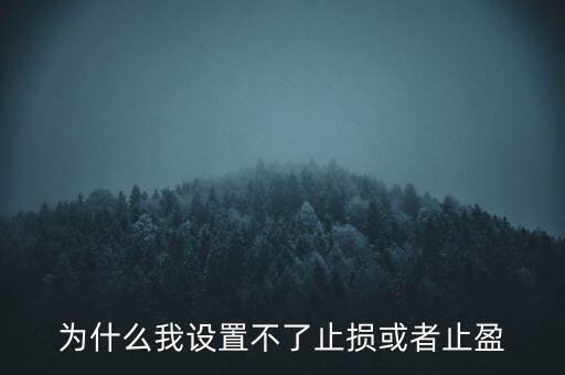 為什么我設(shè)置不了止損或者止盈