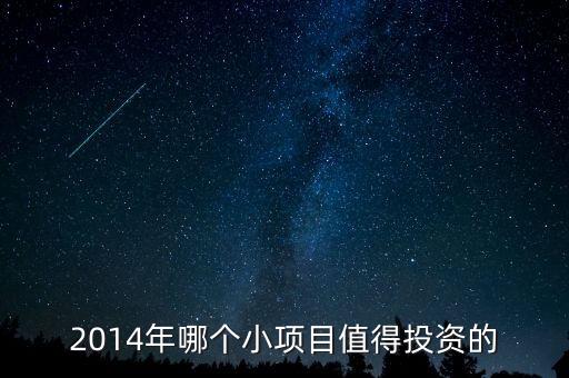 2014可以投資什么，最近想弄投資2014投資什么最賺錢阿