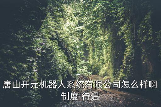 唐山開(kāi)元機(jī)器人系統(tǒng)有限公司怎么樣啊制度 待遇