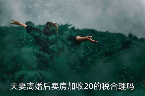 夫妻離婚后賣房加收20的稅合理嗎