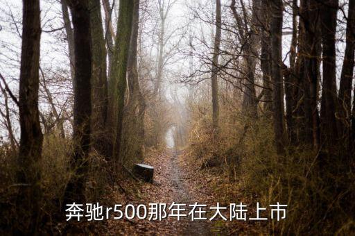 奔馳r500那年在大陸上市