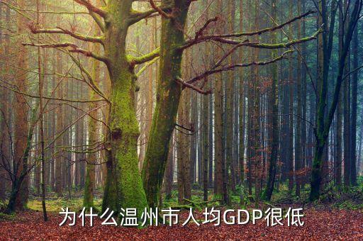 為什么溫州市人均GDP很低