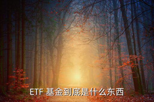 etf基金是什么，ETF 基金到底是什么東西