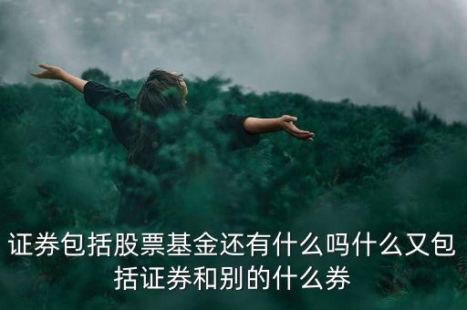 證券包括股票基金還有什么嗎什么又包括證券和別的什么券