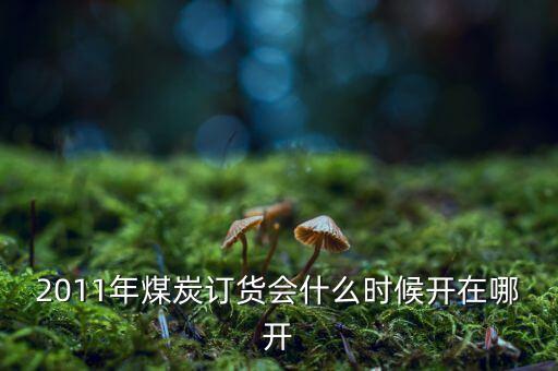 2011年煤炭訂貨會什么時候開在哪開