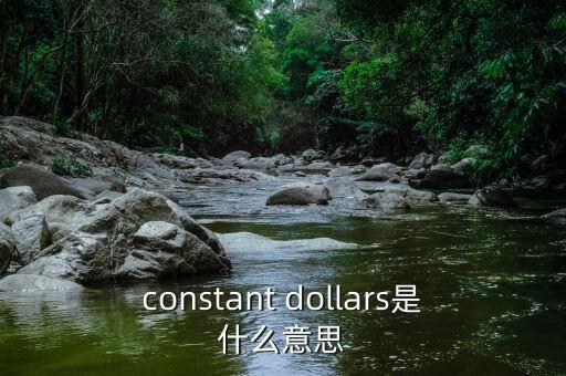 constant dollars是什么意思