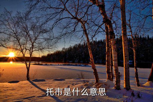 什么叫托房市，房地產(chǎn)什么叫一托二