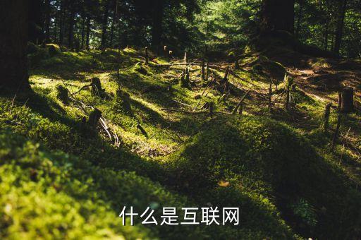 什么是互聯(lián)網(wǎng)