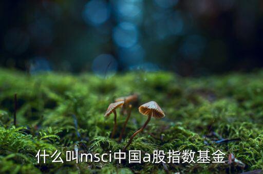 什么叫msci中國a股指數(shù)基金