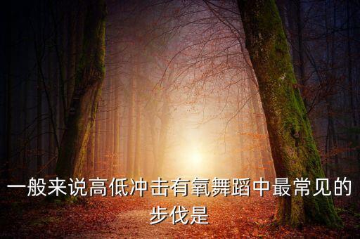 一般來(lái)說(shuō)高低沖擊有氧舞蹈中最常見(jiàn)的步伐是