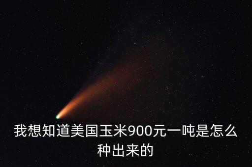 我想知道美國玉米900元一噸是怎么種出來的