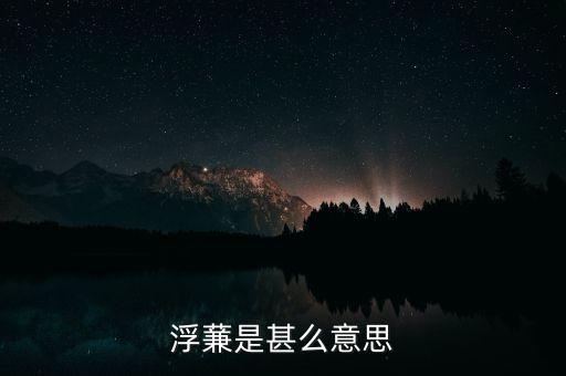 浮籌是什么意思，浮蒹是甚么意思