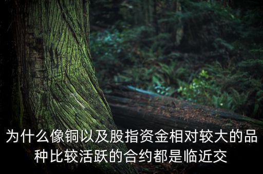 為什么像銅以及股指資金相對較大的品種比較活躍的合約都是臨近交